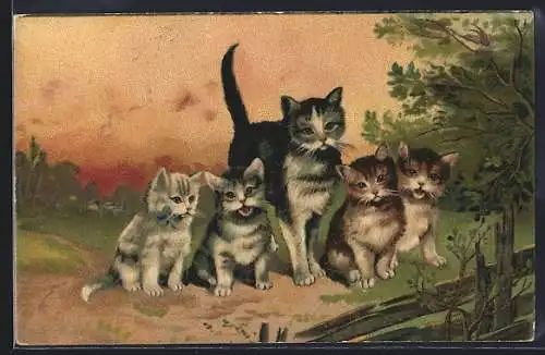 AK Katzenmutter mit Jungen