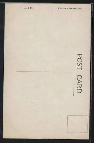 Künstler-AK T. Gilson: How I felt before the Medical Board, Musterung, Scherz