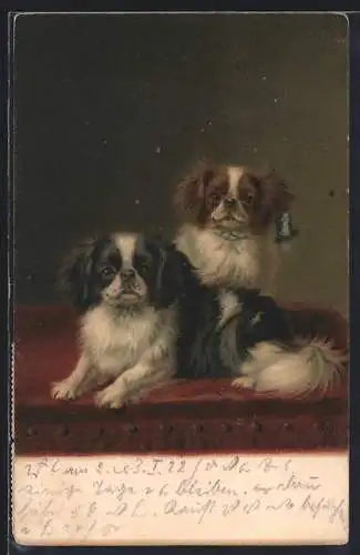 AK Zwei Pekinesen auf einem Samtpolster
