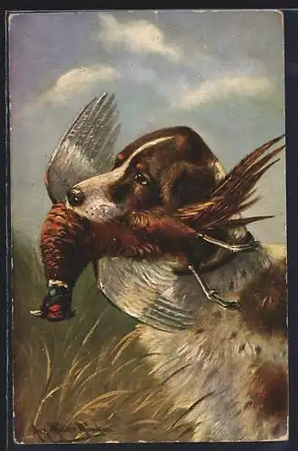 Künstler-AK August Müller - München: Jagdhund mit erlegtem Rebhuhn