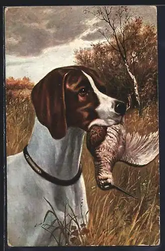 Künstler-AK Jagdhund mit Vogel in der Schnauze