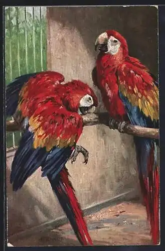 AK Gelbflügel Aras im Zoo