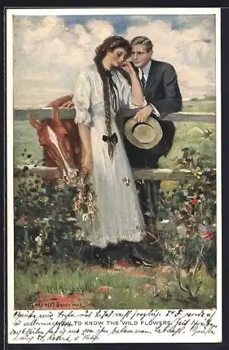 Künstler-AK Clarence F. Underwood: How To Know The Wild Flowers