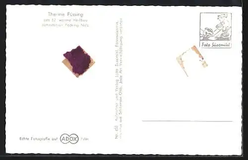 AK Füssing, Therme, Schwimmbecken, Pilz