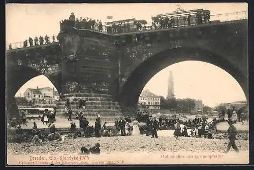 AK Dresden, Elb-Klondyke 1904, Goldsucher am Kronenpfeiler