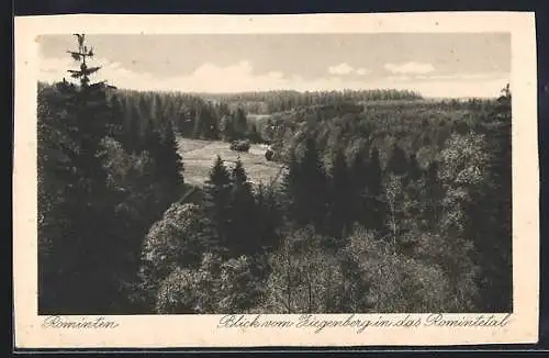 AK Rominten, Blick vom Ziegenberg in das Romintetal