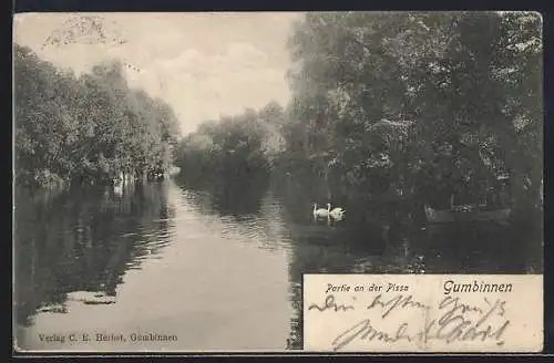 AK Gumbinnen, Partie an der Pissa