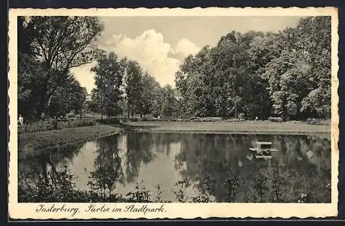 AK Insterburg, Partie im Stadtpark
