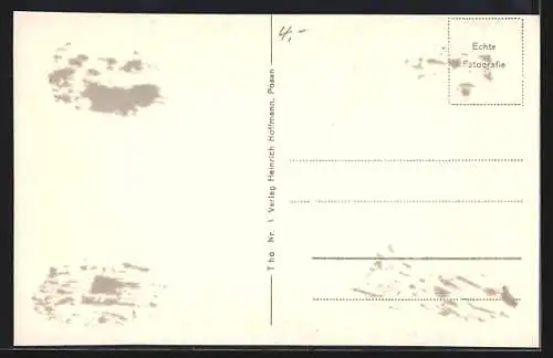 AK Thorn / Torun, Strasse am Brückentor