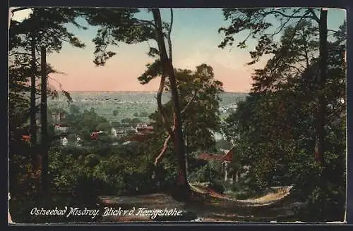 AK Misdroy, Ostseebad, Blick von der Königshöhe