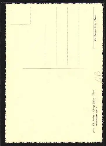 AK Nalut, Interno del Castello Berliero