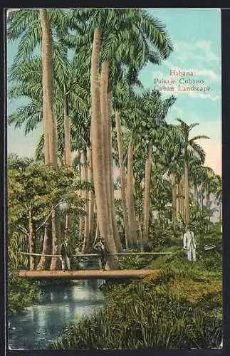 AK Habana, Paisaje Cubano
