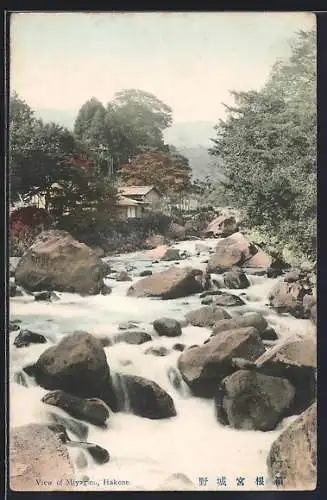AK Hakone, View of Miyagino