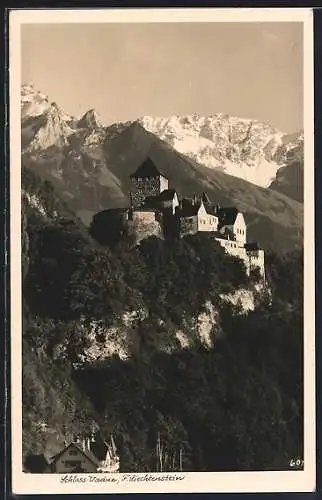 AK Vaduz, Schloss