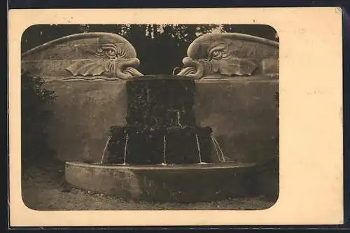 AK Selens, Springbrunnen