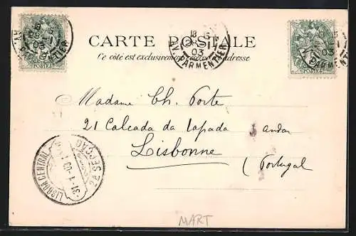 AK Saint Pierre de la Martinique, Entrée du Jardin des Plantes