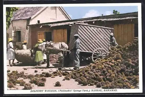 AK Nassau, Delivery Waggon, Psilinakis` Sponge Yard