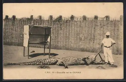 AK Gambia, Crocodile tuè en Gambie