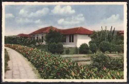 AK Curacao, Modern Living Houses