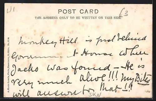 AK St. Kitts, Basseterre from Bay