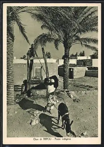 AK Tripoli, Pozzo indigeno