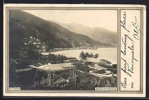 AK La Guayra, Panorama mit Palmen