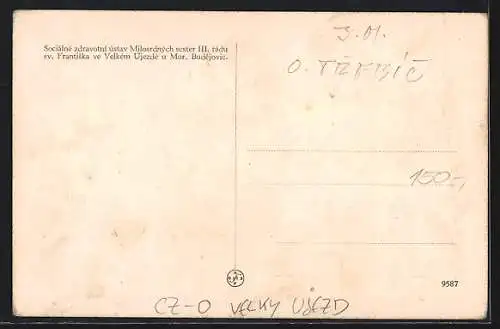 AK Velky Ujezd, Sociálne zdravotní ústav Milosrdných sester III. rádu sv. Frantiska ve Velkém Újezde u Mor. Budejovic