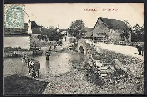 AK Chesley, L`Abreuvoir avec vaches traversant le gué et pont en pierre