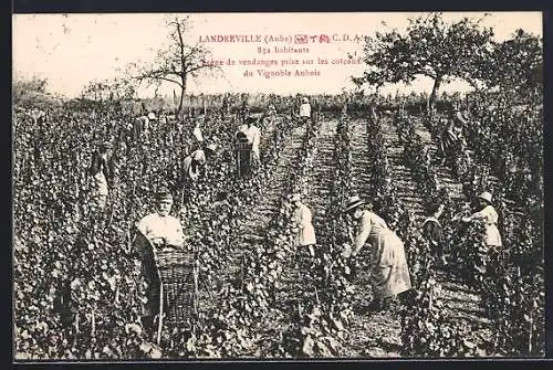 AK Landreville, Scène de vendanges sur les coteaux du Vignoble Aubois