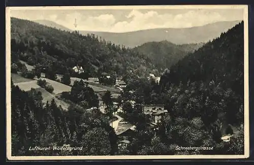 AK Wölfelsgrund, Schneebergstrasse aus der Vogelschau