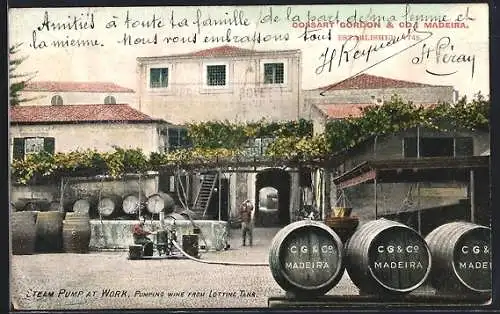 AK Madeira, Cossart Gordon & Co., Steam Pump at Work