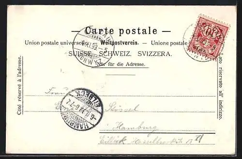 Lithographie Luzern, Ansicht vom Gütsch, Bahnhof, Frau in Tracht, Löwe, Edelweiss, Um 1900