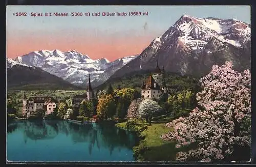 AK Spiez, Panorama mit Niesen und Blümlisalp