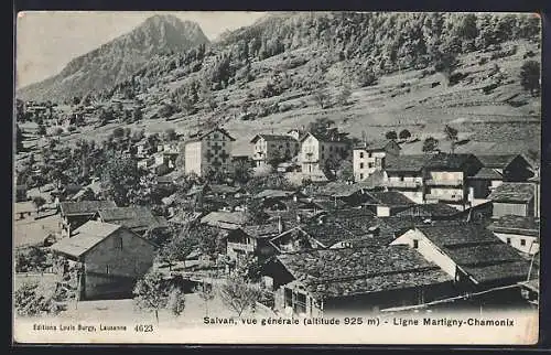 AK Salvan, Vue Generale