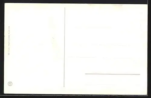 AK Schaffhausen, Ortsansicht mit Dampfer