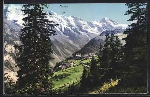 AK Mürren, Panorama mit Tannen
