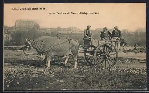 AK Environs de Pau, Attelage Bearnais, Gespann