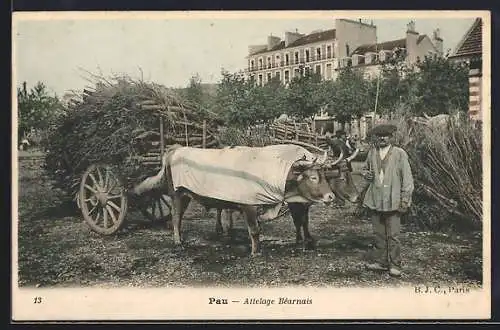 AK Pau, Attelage Bèarnais
