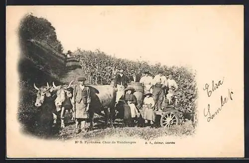 AK Pyrénées, Char de Vendanges, französische Winzer bei der Weinlese mit Ochsengespann, Weinreben