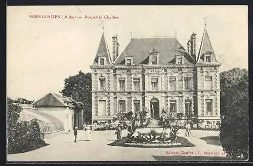 AK Bréviandes, Propriété Chollier