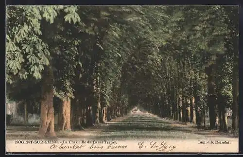 AK Nogent-sur-Seine, La Charmille du Canal Tiersay