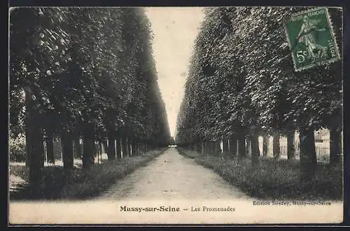 AK Mussy-sur-Seine, Les Promenades