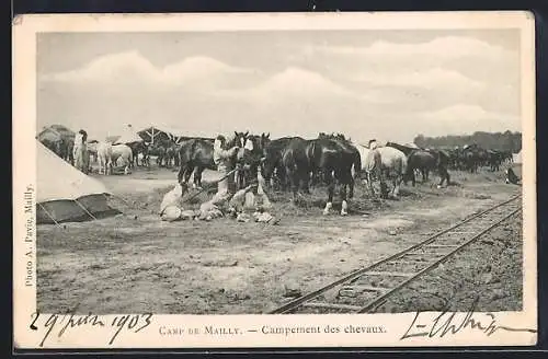 AK Mailly, Campement des chevaux au camp militaire