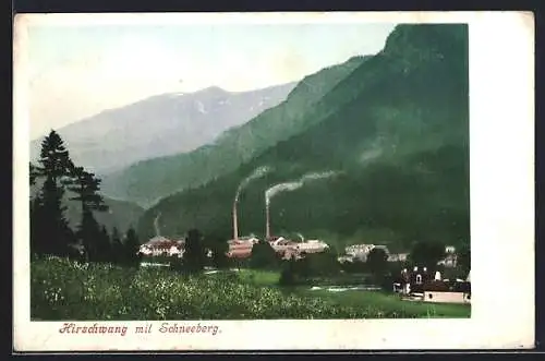 AK Hirschwang, Totale mit Schneeberg