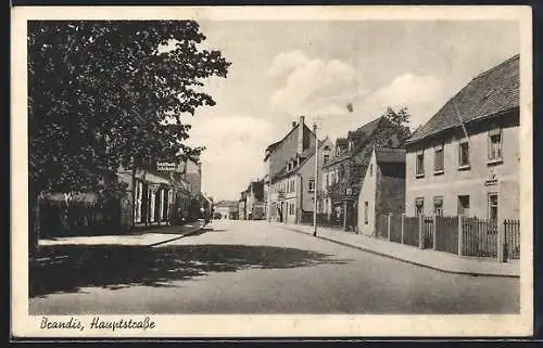 AK Brandis / Wurzen, Partie in der Hauptstrasse