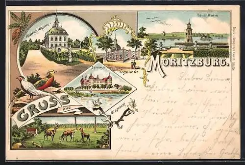 Lithographie Moritzburg / Sachsen, Schloss, Leuchtturm, Fasanerie, Fasane, Rehe