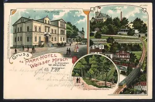 Lithographie Dresden-Weisser Hirsch, Park-Hotel W. Würffel, Luisenhof mit Bahn, Schwestern-Quelle