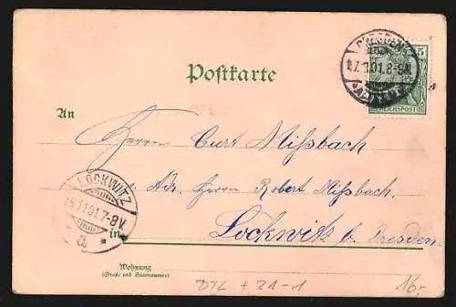 Lithographie Dresden, Belvedere und Landeplatz, Strassenpartie, Dampfer, Halt gegen das Licht