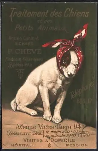 AK Paris, Médecin-Vétérinaire P. Chevé, Avenue Victor Hugo 94, Tierarzt