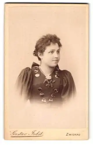 Fotografie Gustav Jobst, Zwickau, Äussere Schneebergstrasse 20, Porträt einer Frau mit elegantem Kleid